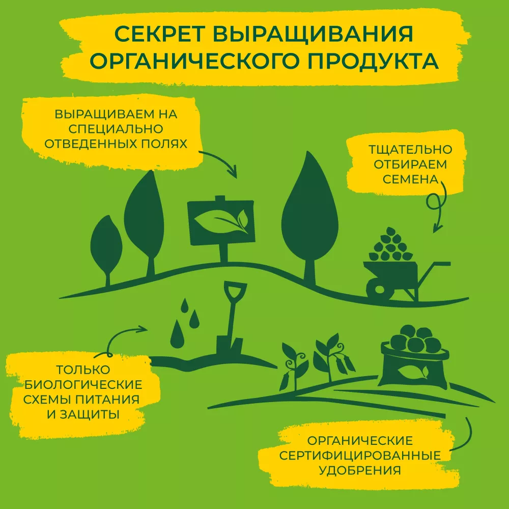 Кукуруза консервированная Бондюэль, органик, 340 г