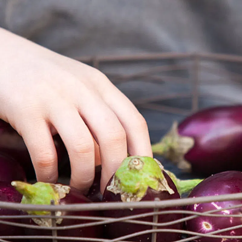 Organic food: the first step to the healthy way of life
