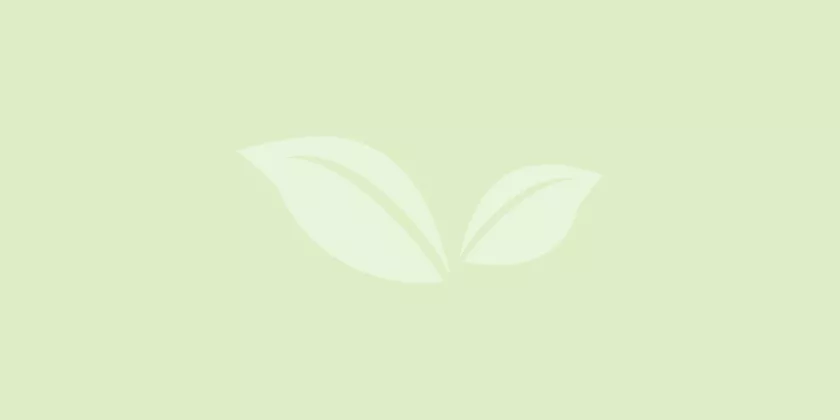 Պաստա լինգվինի կանաչ ձիթապտուղներով և սնկով